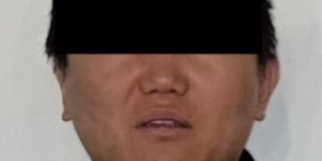 Zhi Dong “N”