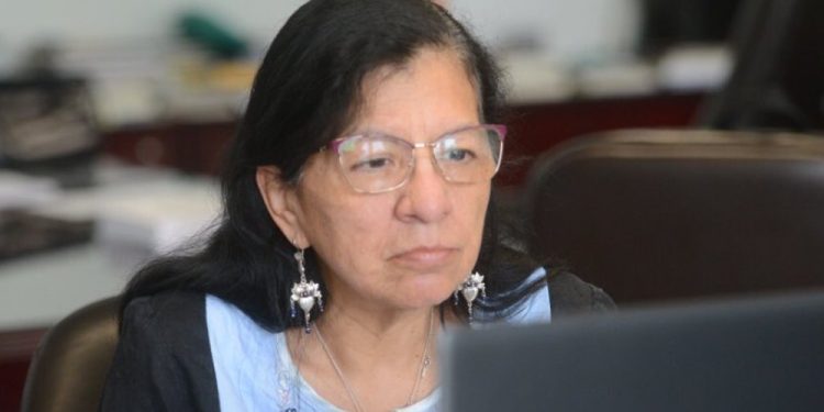 Nashieli Ramírez aspirante a la CNDH