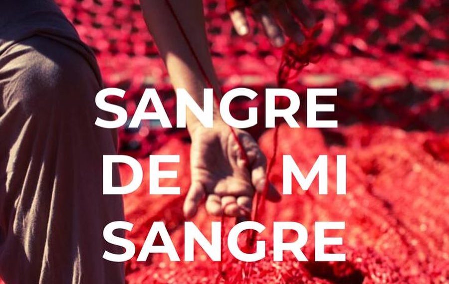 Tejido Sangre de mi sangre