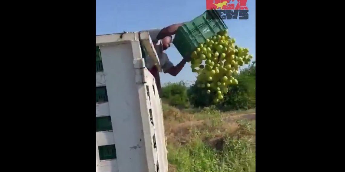 Agricultor de Michoacán tiró su producto