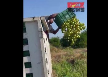 Agricultor de Michoacán tiró su producto