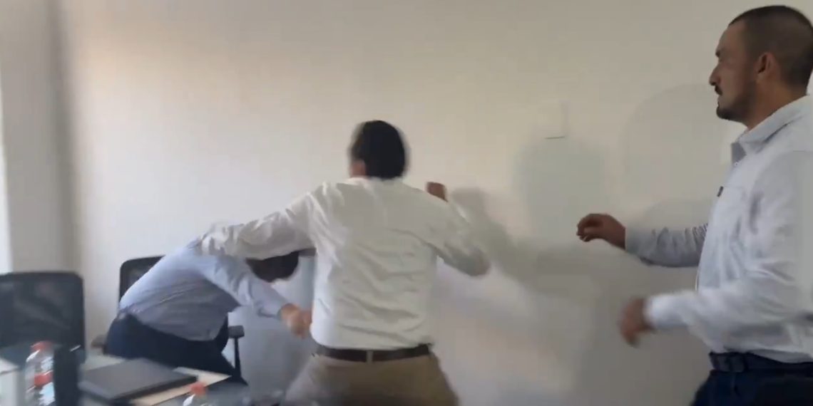 Pelean diputados del Verde y Morena