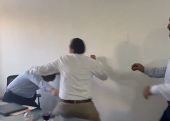 Pelean diputados del Verde y Morena