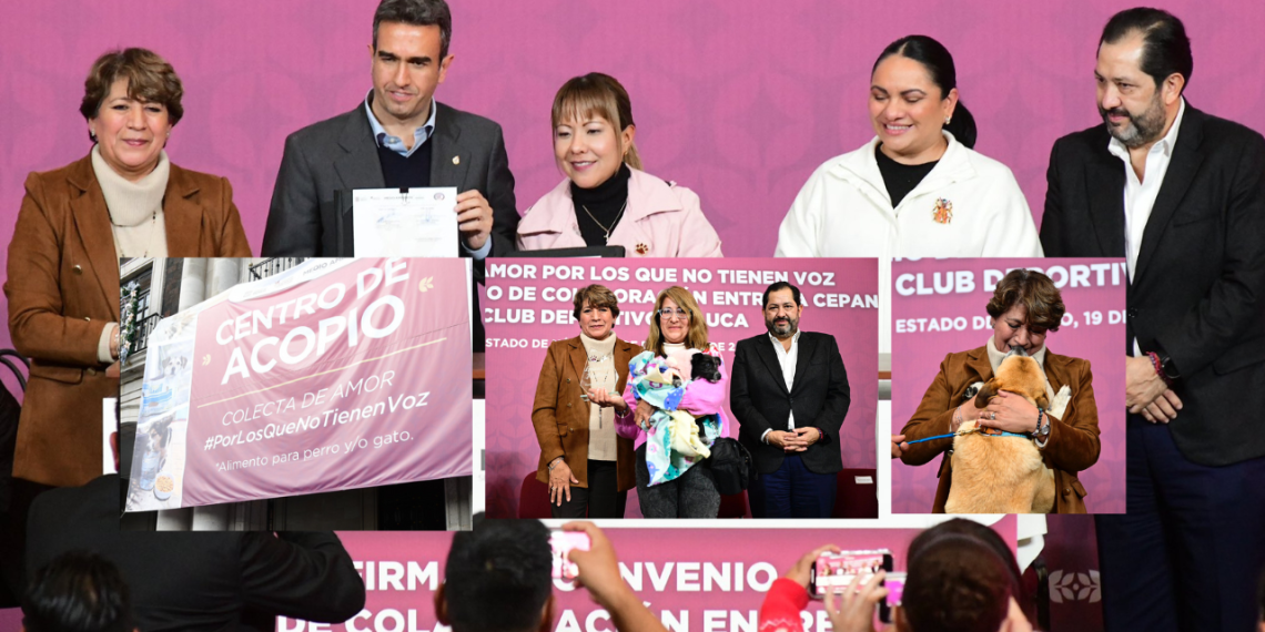 Arranca colecta de amor por los que no tienen voz en Estado de México