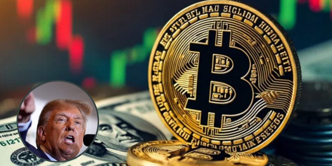 bitcoin donald trump