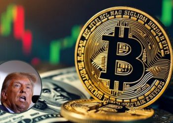 bitcoin donald trump