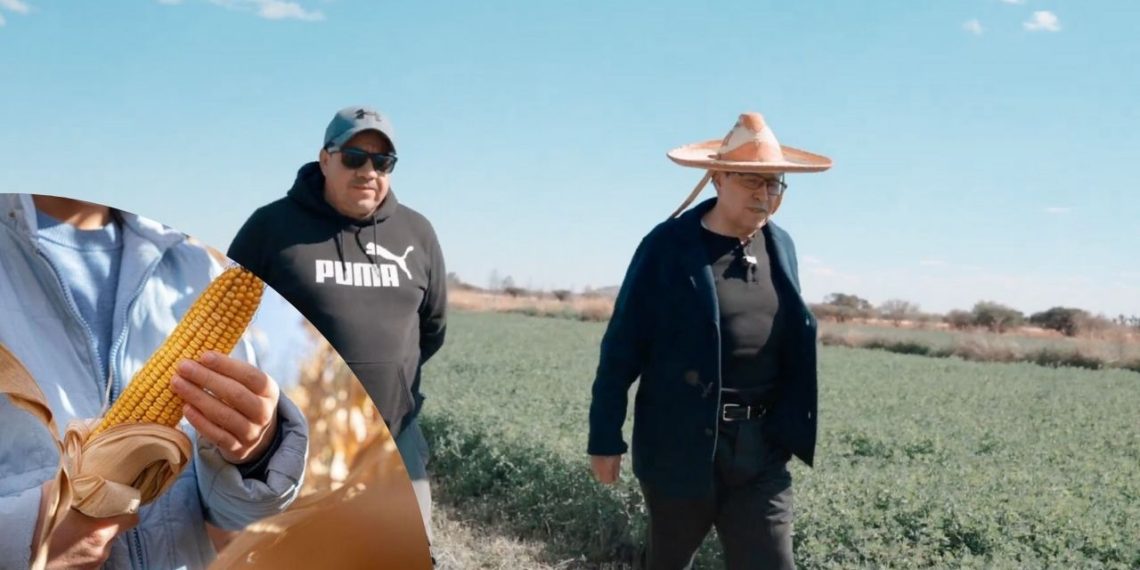 RICARDO MONREAL Maíz transgénico