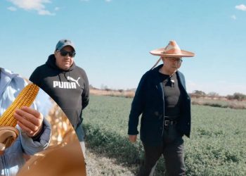 RICARDO MONREAL Maíz transgénico