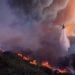 Devastación de Los Ángeles por incendios forestales