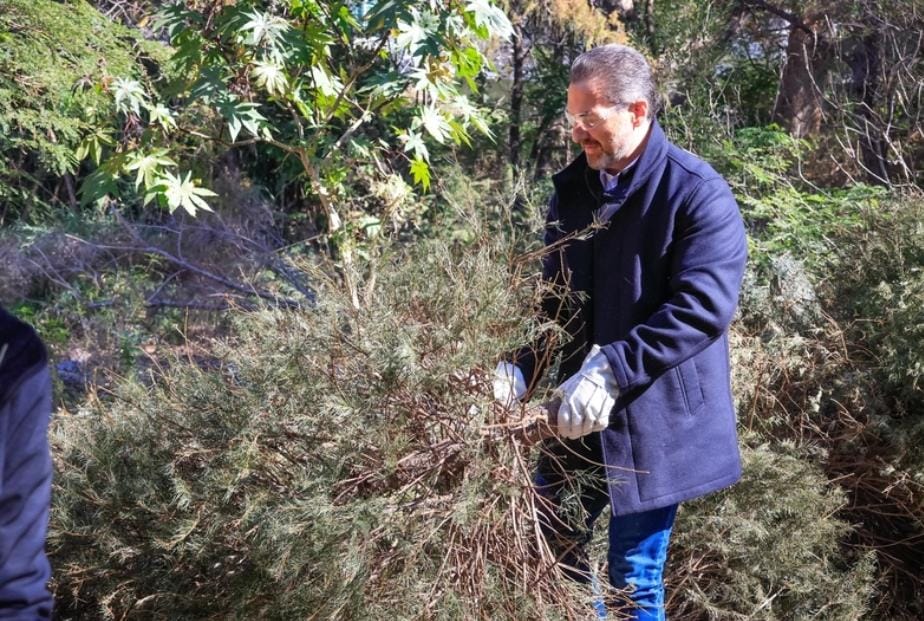 Adrián de la Garza pide a ciudadanos desechar sus pinos navideños en centros de acopio de recolección de pinos