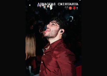 Chihuahua tito double P