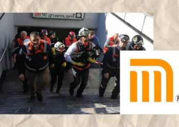 Perrito rescatado en la CDMX