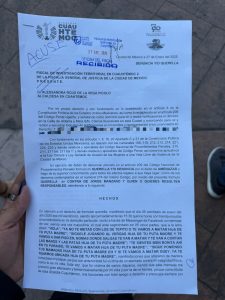 alessandra rojo de la vega