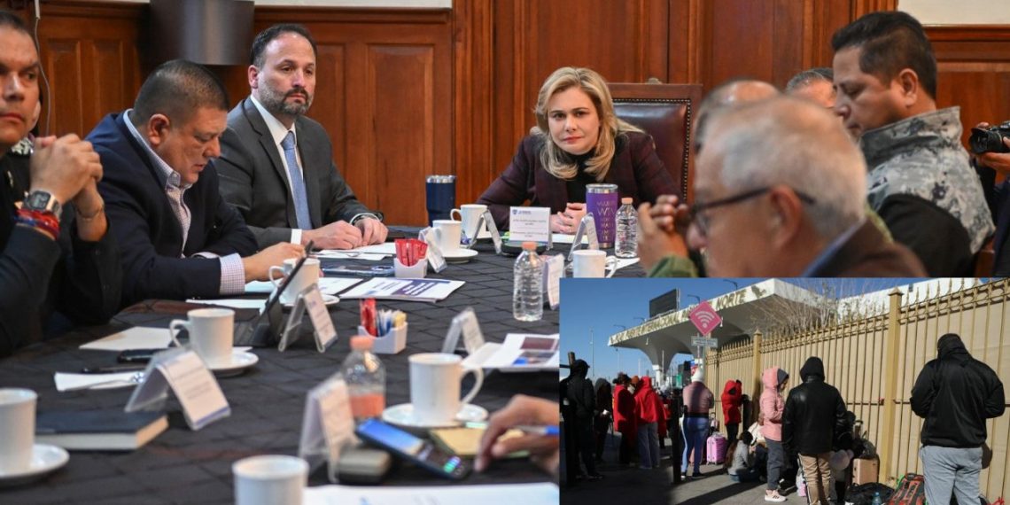 Chihuahua Maru Campos