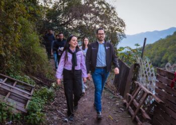 David de la peña Santiago