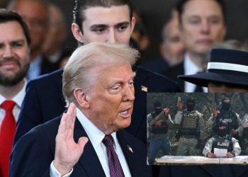 donald trump cárteles