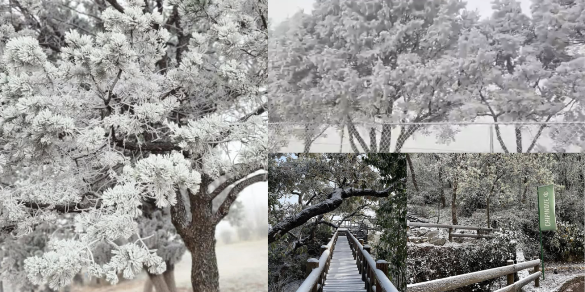 Se reporta caída de nieve y aguanieve en Nuevo León.