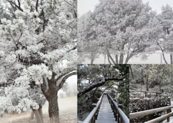 Se reporta caída de nieve y aguanieve en Nuevo León.