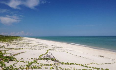 Playa Sabancuy en Ciudad del Carmen