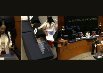 senado insaculación