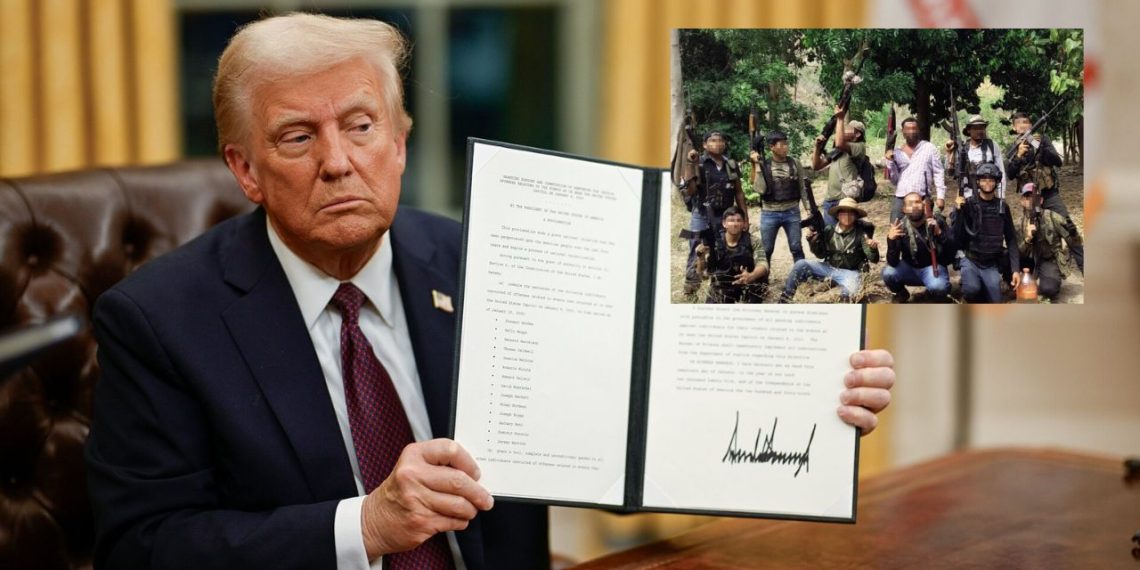 donald trump cárteles de México