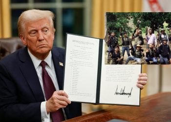 donald trump cárteles de México