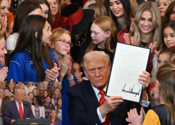 donald trump transgénero