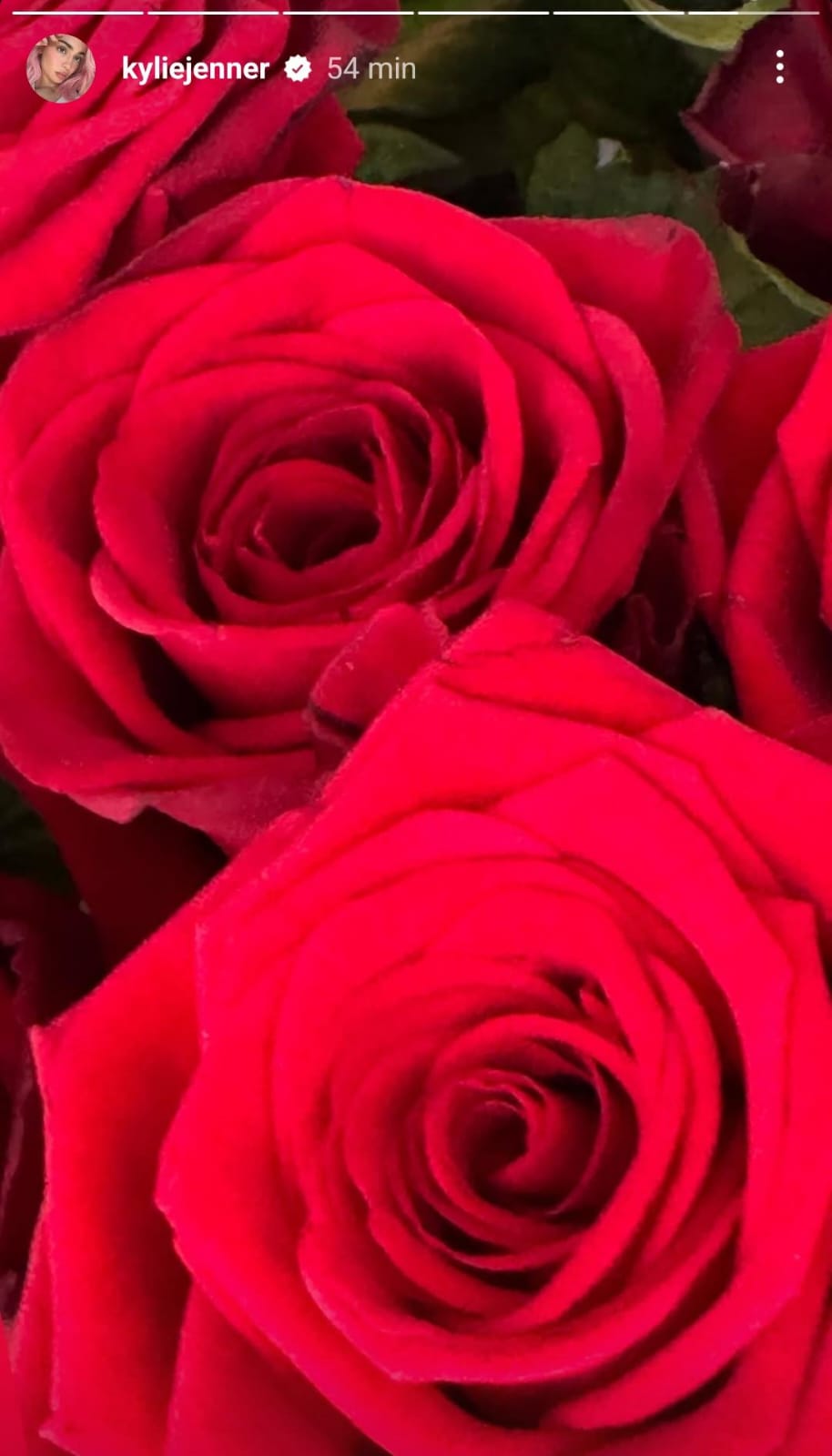 Kylie Jenner y Timothée festejan San Valentín.