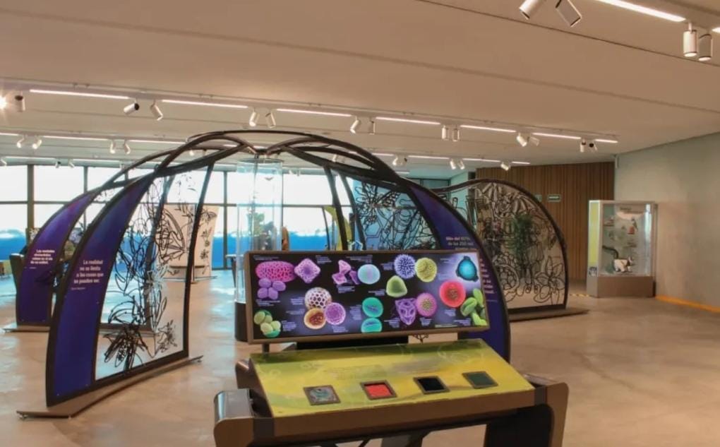 Celebra con el museo YANCUIC su primer aniversario.