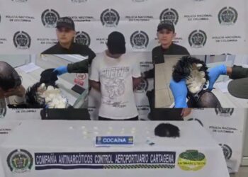 narcopeluca colombia