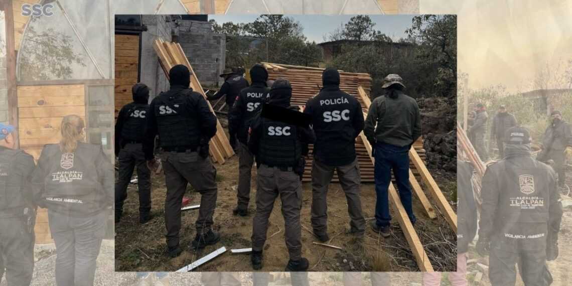 Clausuran aserraderos irregulares en la CDMX