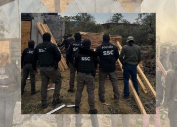 Clausuran aserraderos irregulares en la CDMX