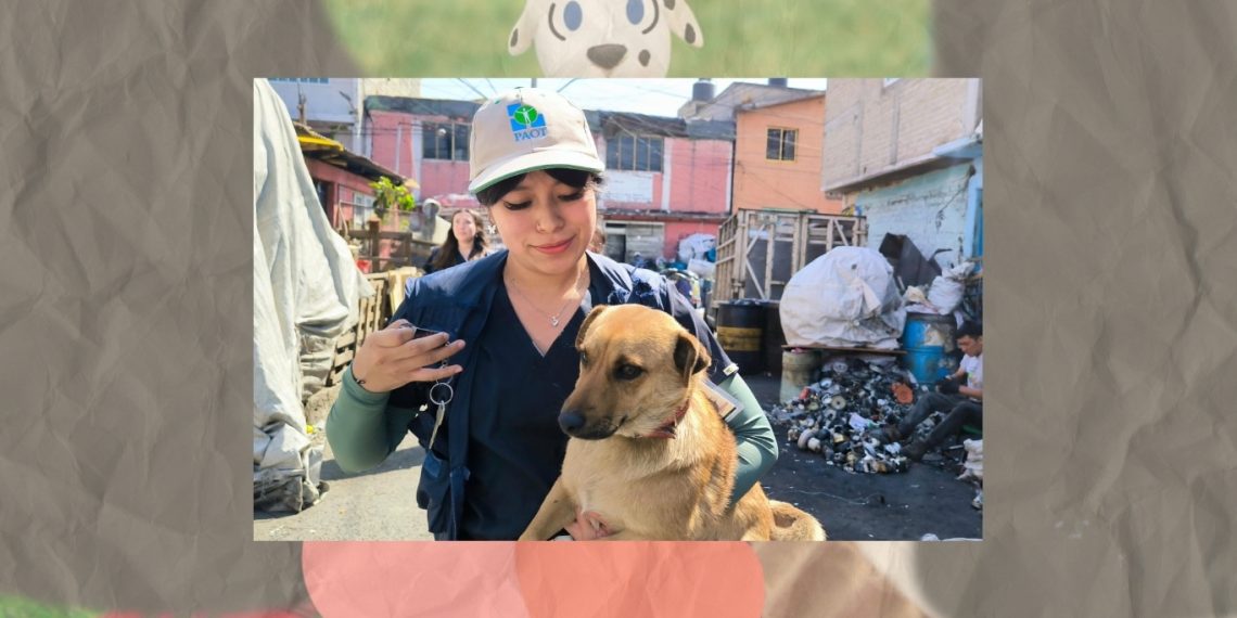 Campaña ¡Adopta Amor! por Policía de la CDMX