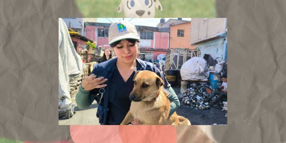 Campaña ¡Adopta Amor! por Policía de la CDMX