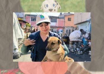 Campaña ¡Adopta Amor! por Policía de la CDMX