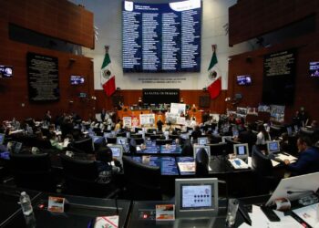 senadores reforma nepotismo