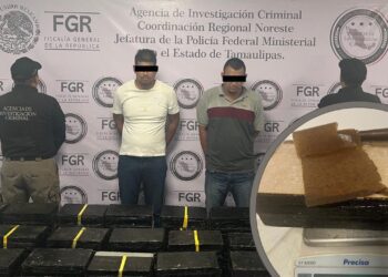 Ahora descubren drogas dentro de tostadas de nopal y chía