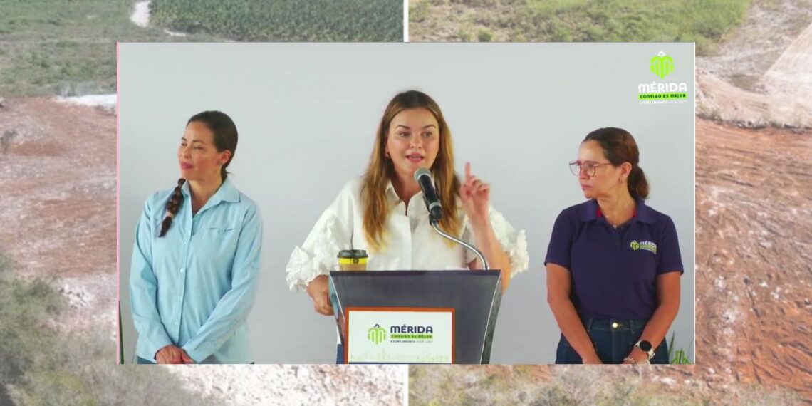 Ayuntamiento de Mérida denunciará deforestación en Reserva Ecológica de Cuxtal