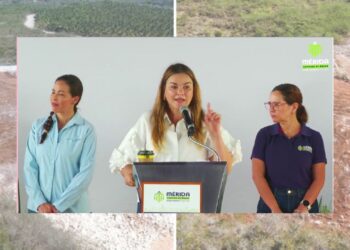 Ayuntamiento de Mérida denunciará deforestación en Reserva Ecológica de Cuxtal
