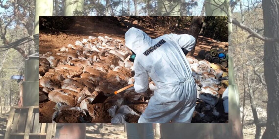 Desmantelan megalaboratorio clandestino en Zacatecas; esto se encontró