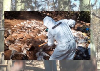 Desmantelan megalaboratorio clandestino en Zacatecas; esto se encontró 