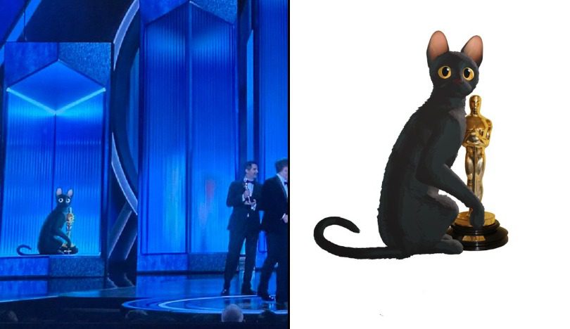 Gatito de Flow con su Oscar.