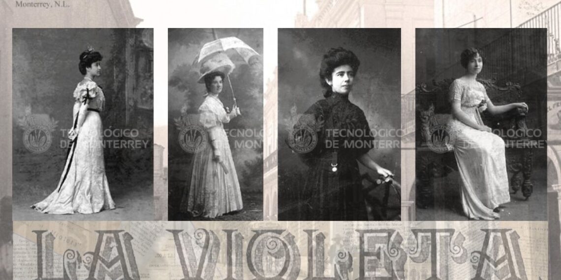 la violeta