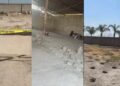 Las primeras imágenes del rancho Izaguirre en Teuchitlán