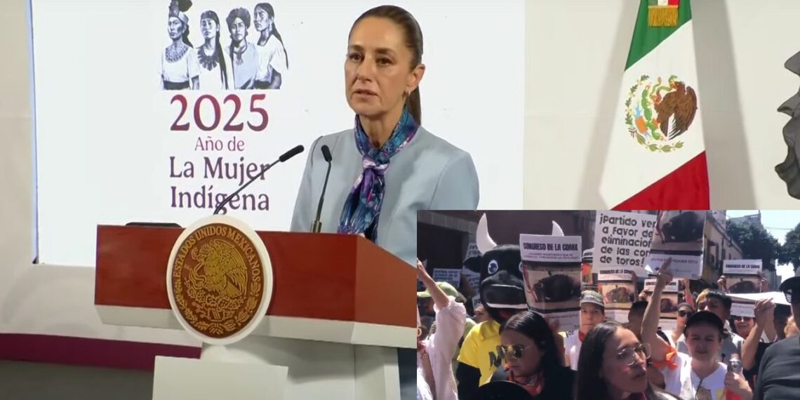 Se pronuncia Sheinbaum contra el maltrato animal en la tauromaquia
