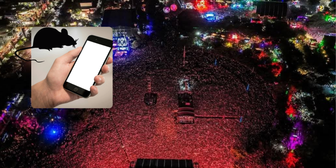 tips para que no te roben tu teléfono en Pa'l Norte.