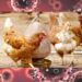 Secretaría de Salud confirma primer caso de influenza aviar A (H5N1) en humanos