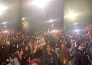 ¿Por qué protestan los estudiantes de la UNAM?