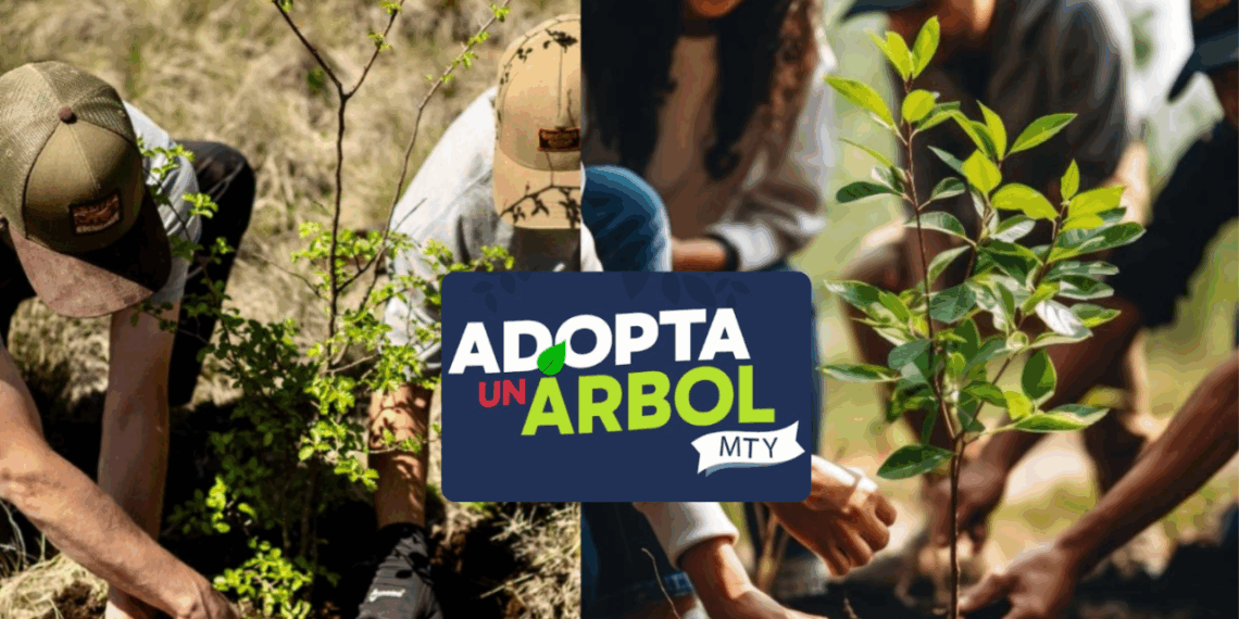 Se parte de adopta un árbol Monterrey.