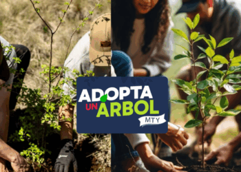 Se parte de adopta un árbol Monterrey.